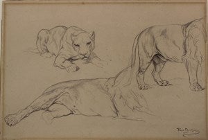 Image description is not available for DU1948.40